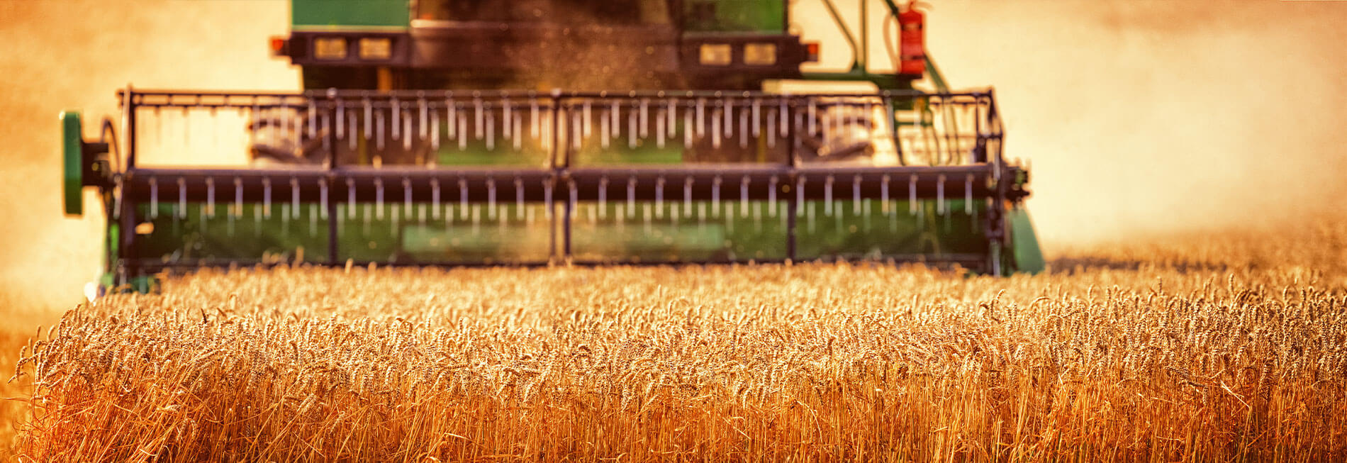 Peterson & Associates Auctions Hector, MN Powered By AuctionTime