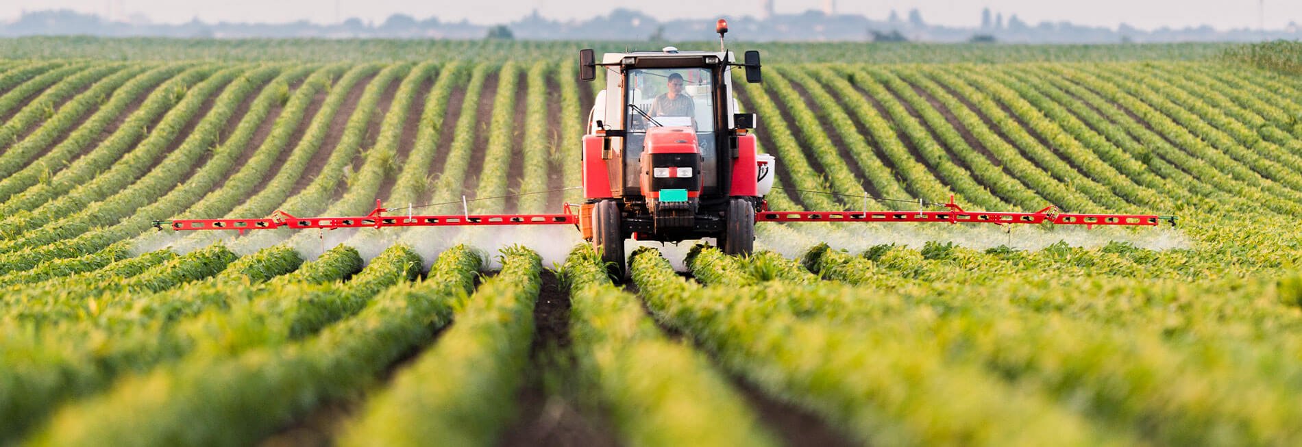 Peterson & Associates Auctions Hector, MN Powered By AuctionTime